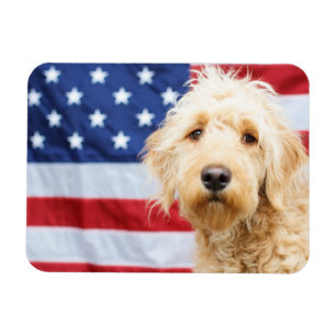 Magnet Flexible Goldendoodle avec drapeau américain