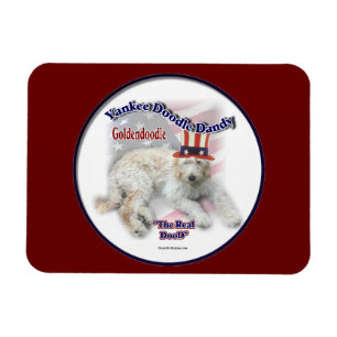 Magnet Flexible Goldendoodle Humour politique