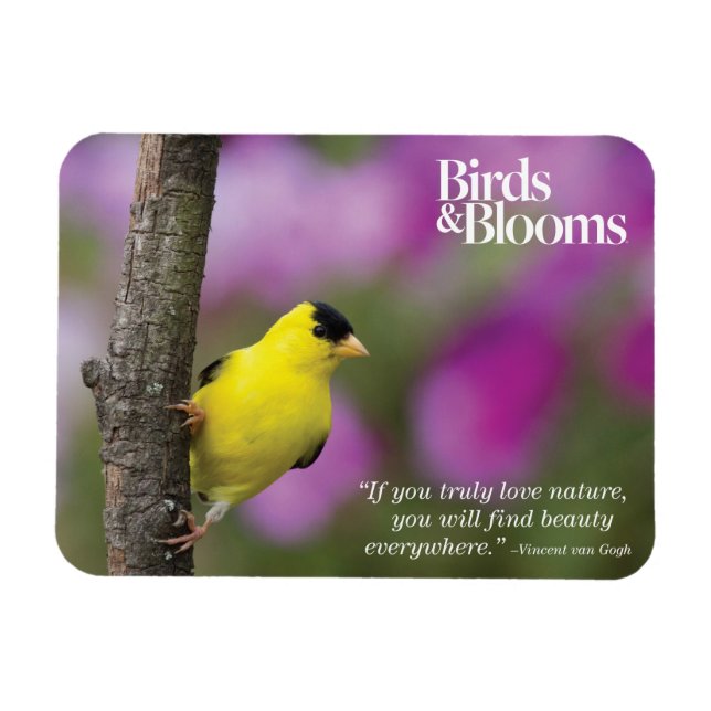 Magnet Flexible Goldfinch (Horizontal)