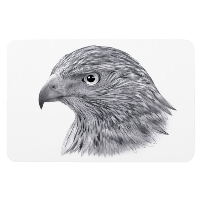 Magnet Flexible Goshawk - Aimant flexible (Horizontal)