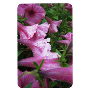 Magnet Flexible Gouttes de rosée sur des fleurs roses