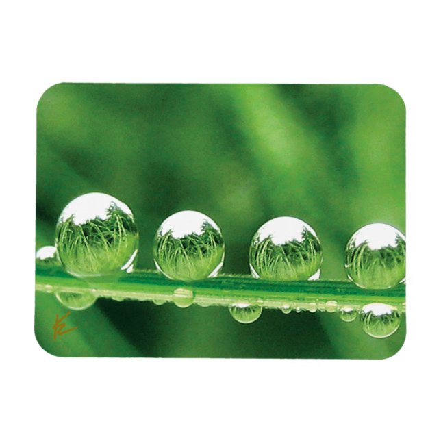 Magnet Flexible Gouttes de rosée sur l'herbe verte Élégante nature (Horizontal)