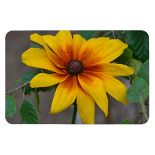 Magnet Flexible Grand aimant à fleurs