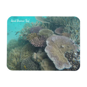 Magnet Flexible grand aimant barrière corail