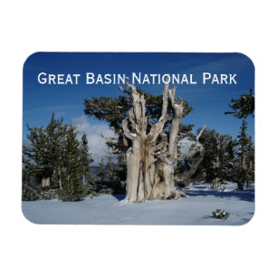 Magnet Flexible Grand aimant de parc national de bassin
