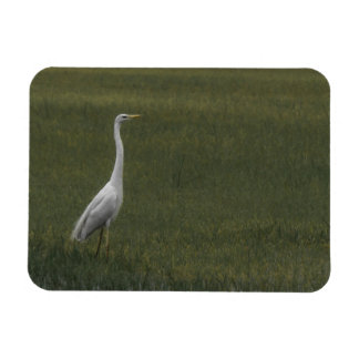 Magnet Flexible Grand héron blanc Aimant photo flexible
