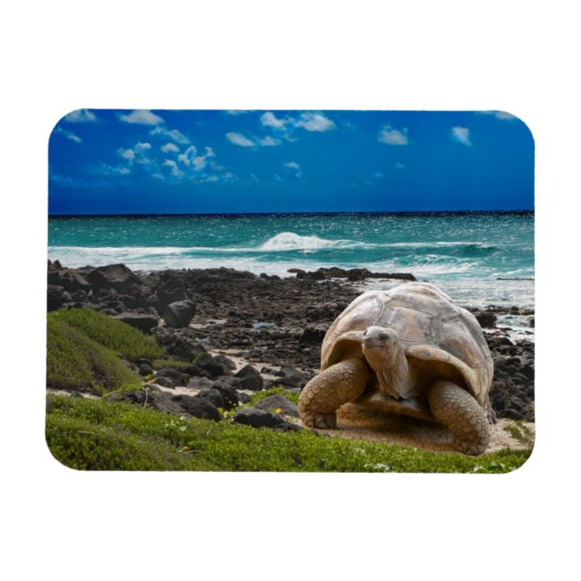 Magnet Flexible Grande tortue au bord de l'eau (Horizontal)