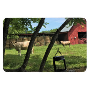 Magnet Flexible Grange et vaches, toile de Caroline du Nord rurale