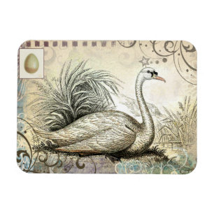 Magnet Flexible Graphique cygne