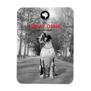 Magnet Flexible Graphiques Grand Danois