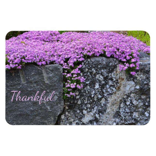 Magnet Flexible Gratitude Rock Garden (Horizontal)