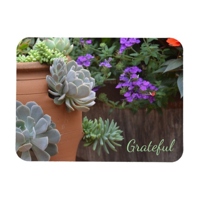 Magnet Flexible Gratitude Succulente (Horizontal)