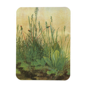 Magnet Flexible Great Piece of Turf d'Albrecht Durer, Art ancien