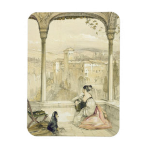 Magnet Flexible Grenade (Alhambra), plaquent 9 des 'croquis de
