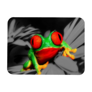Magnet Flexible Grenouille Insecte-Eyed