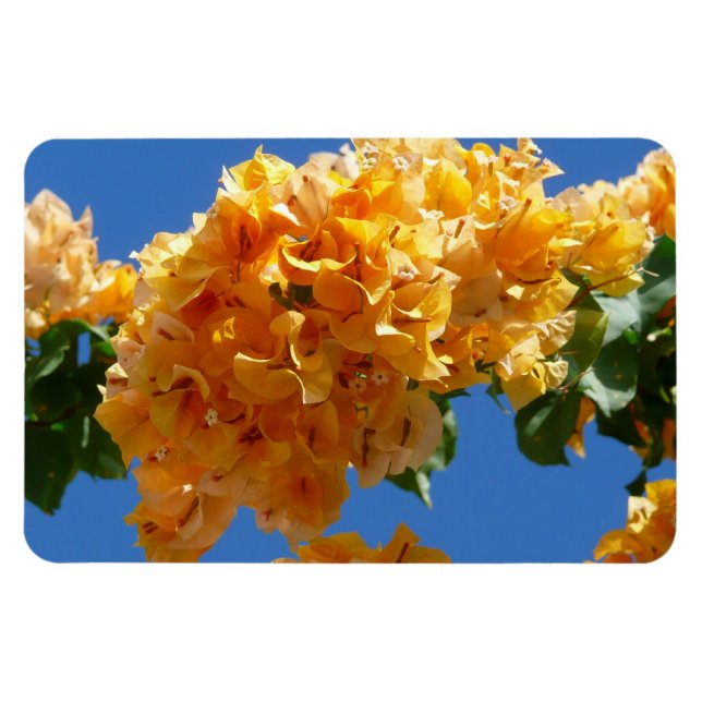 Magnet Flexible Groupe de bougainvilliers d'or Floral (Horizontal)