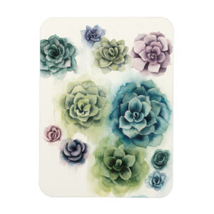 Magnet Flexible Groupe de succulents