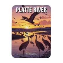 Grues de la rivière Platte dans le Nebraska