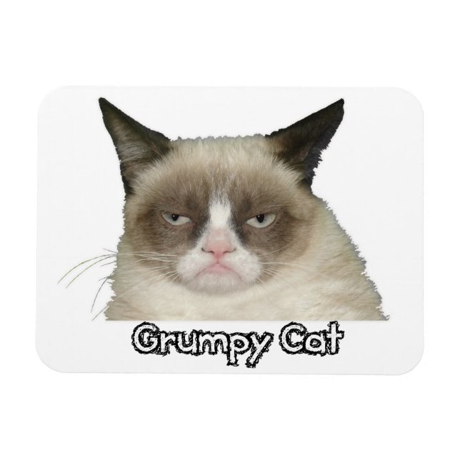 Magnet Flexible Grumpy Cat 3x4 Aimant flexible (Horizontal)