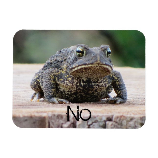 Magnet Flexible Grumpy Old Toad (Horizontal)