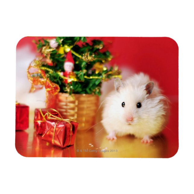Magnet Flexible Hamster Kokolinka avec arbre de Noël (Horizontal)