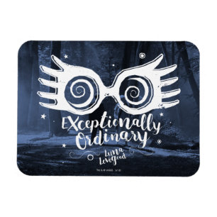 Magnet Flexible Harry Potter   Exceptionnellement ordinaire