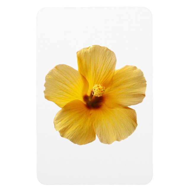 Magnet Flexible Hibiscus jaune Fleurs tropicales Florales (Vertical)