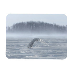 Magnet Flexible Hibou des neiges en vol en hiver