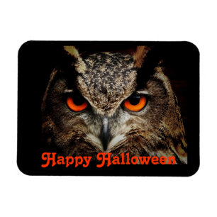 Magnet Flexible Hibou d'Halloween