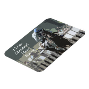 Magnet Flexible Hippocampe Avec Jockey En Aimant Flexible Bleu