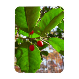 Magnet Flexible Holly Feuilles II Vacances Nature Botanique