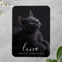 Hommage commémoratif de la Sympathie des animaux d