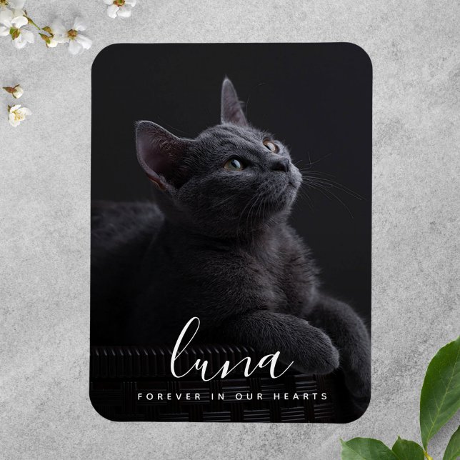 Magnet Flexible Hommage commémoratif de la Sympathie des animaux d (Photo Memorial Magnet)