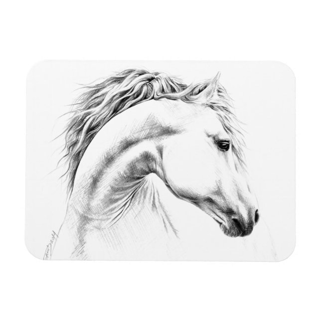 Magnet Flexible Horse portrait drawing equestrian art (Horizontal)