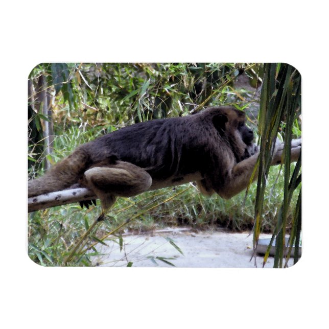 Magnet Flexible Howler Monkey Hangout (Horizontal)