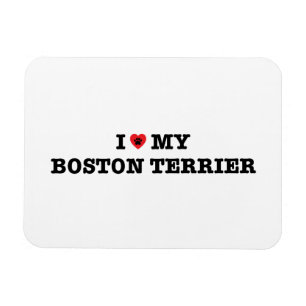 Magnet Flexible I coeur mon aimant flexible de Boston Terrier