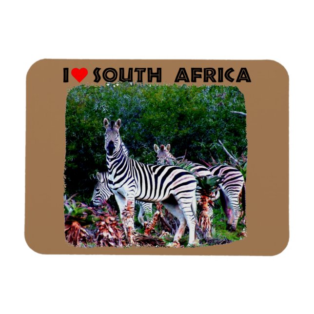 Magnet Flexible I Heart Afrique du Sud Zebra Aloe (Horizontal)
