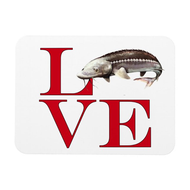 Magnet Flexible I Love Sturgeon (Horizontal)
