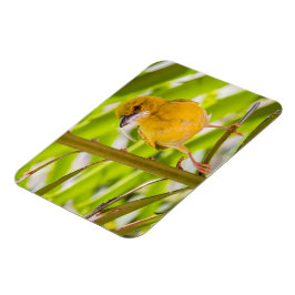 Magnet Flexible Il est temps de construire le nid