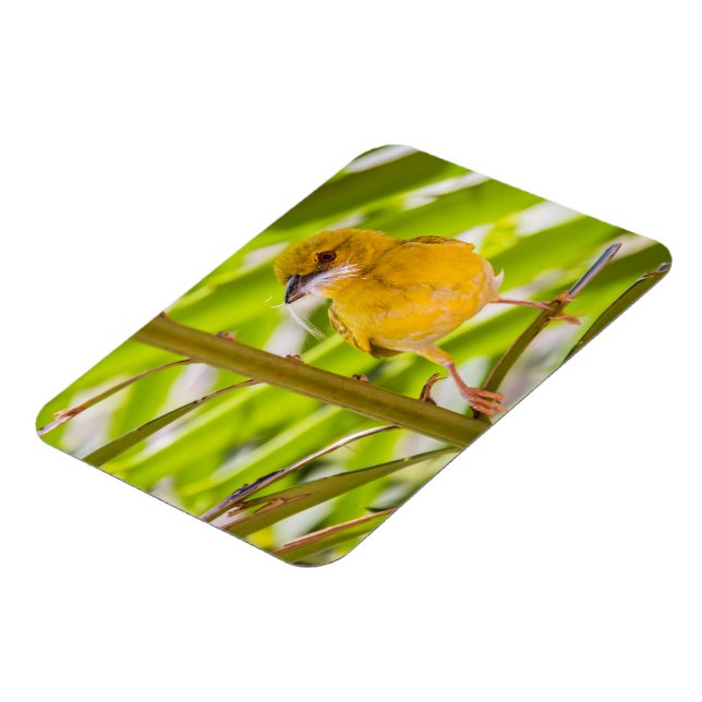 Magnet Flexible Il est temps de construire le nid (Côté Gauche)