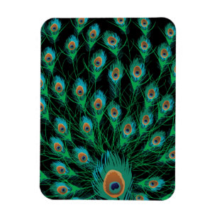 Magnet Flexible Illustration avec des plumes de paon sur le noir