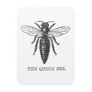 Magnet Flexible Illustration d'antiquité de l'insecte de la reine 
