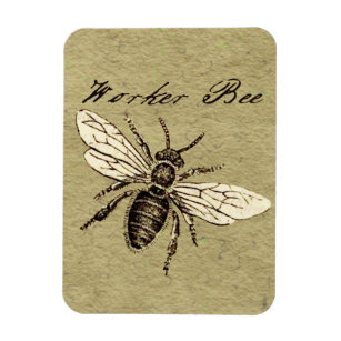 Magnet Flexible Illustration de l'insecte abeille du travailleur
