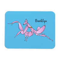 Illustration de l'orchidée mante