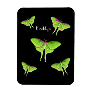Magnet Flexible Illustration de Luna Moth