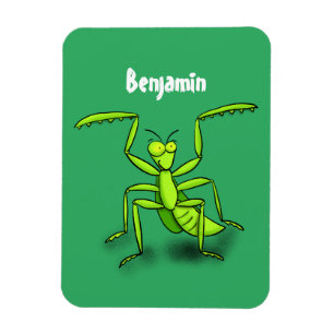 Magnet Flexible Illustration drôle de mante verte en prière