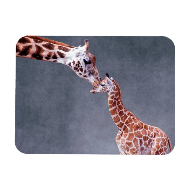 Magnet Flexible Images Getty | Mère et bébé Giraffe (Horizontal)