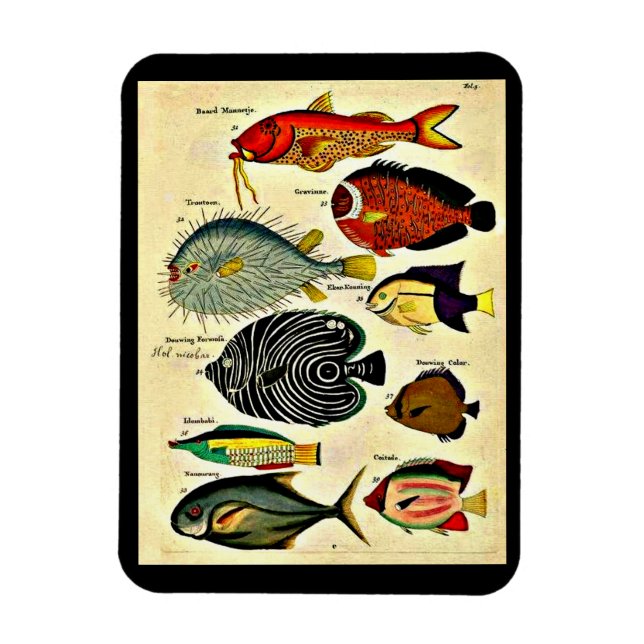 Magnet Flexible impression de poisson d'époque (Vertical)