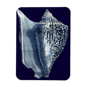 Magnet Flexible Indigo Shells I
