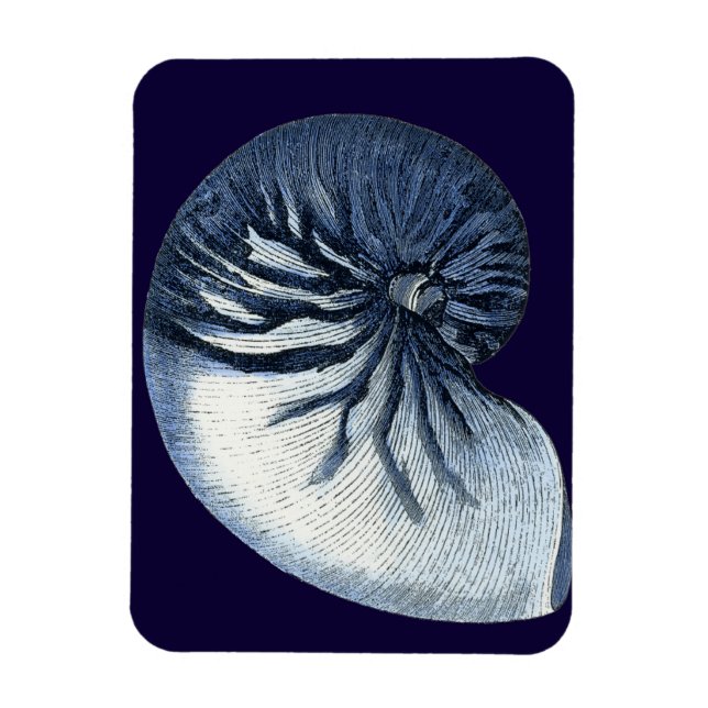 Magnet Flexible Indigo Shells VII (Vertical)
